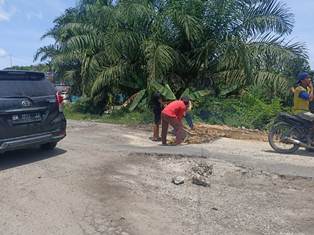 Sebut Camat Tak Jelas, Pemuda Bunga Raya Siak Tanam Pohon Pisang di Jalan